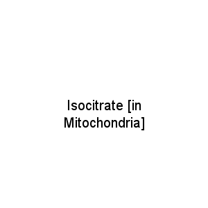 Isocitrate [in Mitochondria]